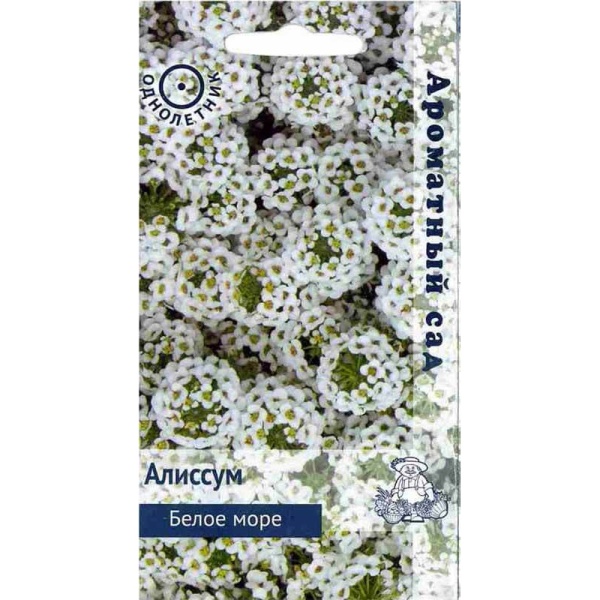 Алиссум Белое море (0.3г) Поиск