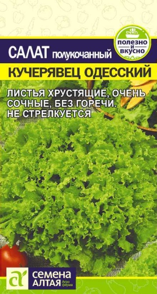 Зелень Салат Кучерявец Одесский/Сем Алт/цп 0,5 гр. (2028 / 729)