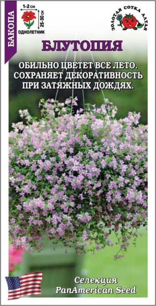 Бакопа Блутопия /Сотка/ 3шт/ сирен. h-30см d-2см /*500