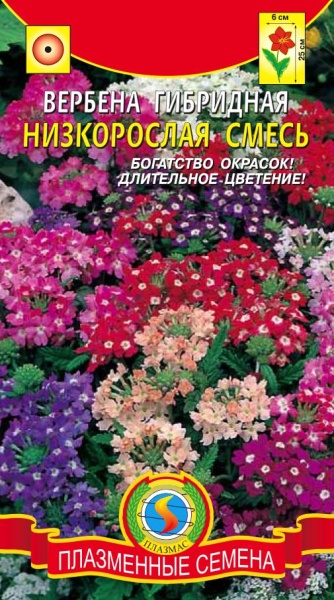 Вербена гибридная низкорослая смесь/ Плазмас/