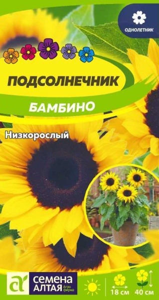 Подсолнечник Бамбино низкорослый/Сем Алт/цп 0,5 гр. НОВИНКА