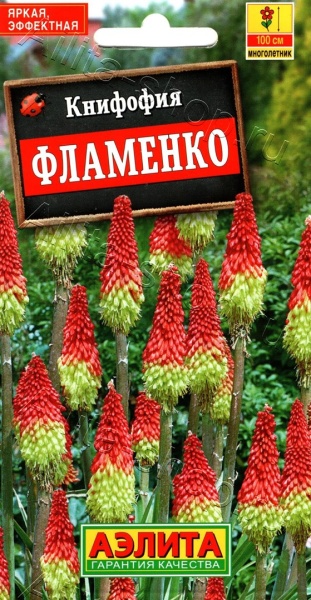 Книфофия Фламенко /Аэлита/цп