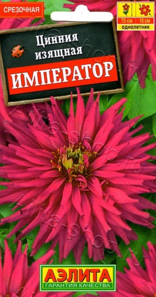 Цинния Император 0,3гр (Аэлита)