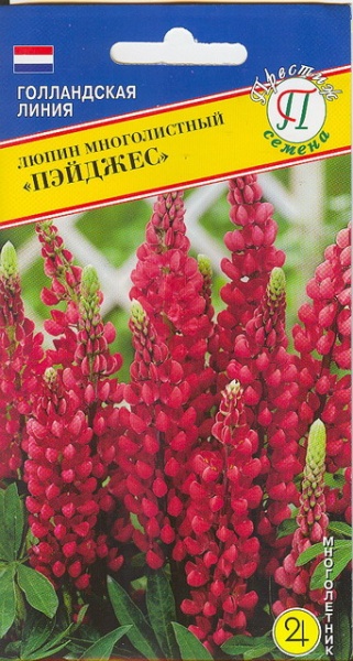 Люпин Пейджес 15шт (Престиж)