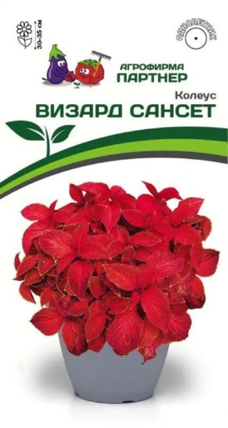 Партнер Колеус ВИЗАРД САНСЕТ / шлемниковидный ^(10шт) 2-ной пак