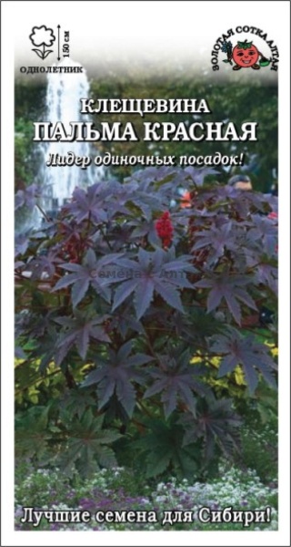 Клещевина Пальма красная /Сотка/ 3шт/ h-150см/*500