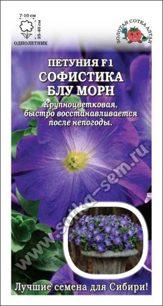 Петуния Софистика Блу Морн F1 /Сотка/ 5шт/ бело-син. h-40см d-10см/*500