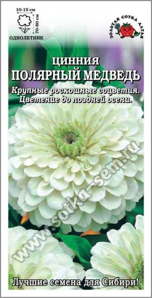 Цинния Полярный медведь /Сотка/ 0,2г/ бел. h-80см, d-15см/*1000