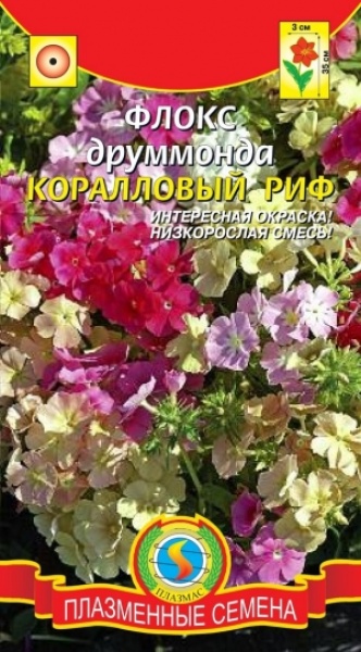 Флокс Коралловый Риф смесь /Плазма/ 0,05г/ h-35см d-3см