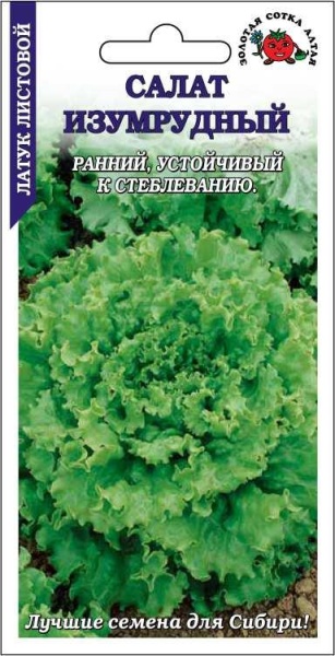 Салат Изумрудный /Сотка/ 0,5 г лист./*1500