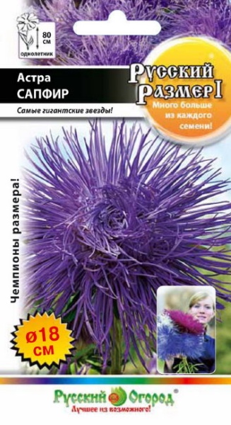 Астра Русский размер I Сапфир /НК/0,3г/игольч, фиолет, h80см, d18см/