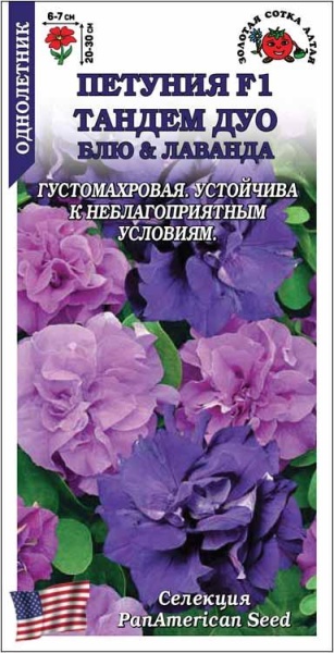 Петуния Тандем Дуо Блу & Лаванда /Сотка/ 10шт/ махр. h-30см d-7см PanAm/*500