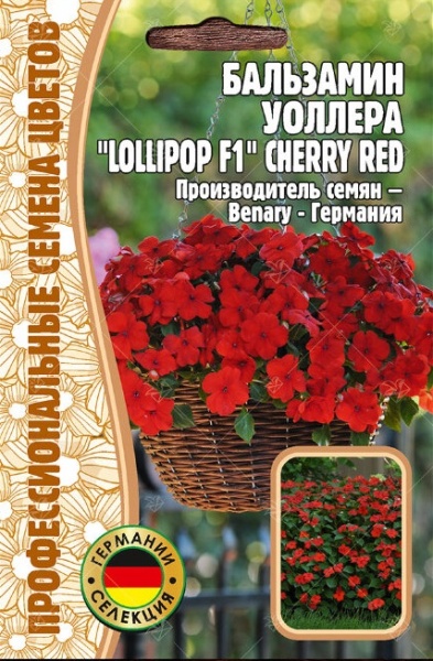 БАЛЬЗАМИН "Lollipop F1" CHERRY RED (5шт) Редкие овощи
