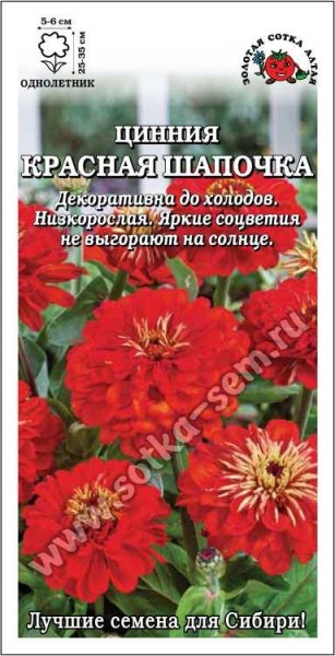 Цинния Красная шапочка /Сотка/ 0,2г/ h-25-35см d-5-6см /*1000