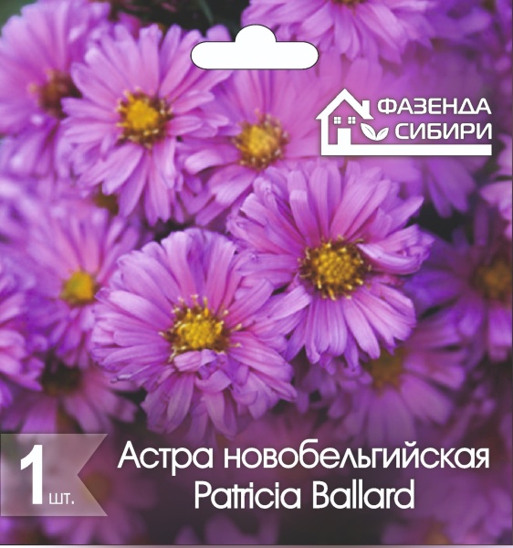 Астра новобельгийская Патриция Баллард/Patricia Ballard (1шт) Фазенда Сибири