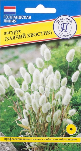 Лагурус Заячий Хвостик однолетник 10шт (престиж)