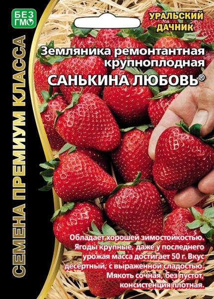 Земляника Санькина любовь - ремонтантная (УД) Е/П Б/Ф
