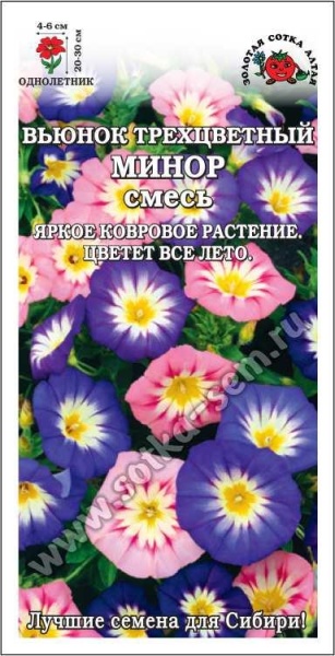 Вьюнок Минор трехцветный /Сотка/ 0,5 г/ 20-30см/*900