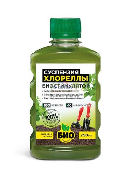 Хлореллы суспензия 0,25л БИО-комплекс/32