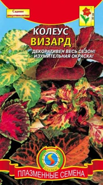 Колеус Визард смесь (карликовые) 10шт (Плазмас)/10