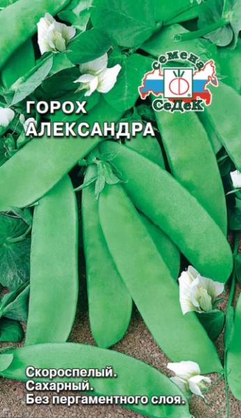 Горох Александра (Седек)
