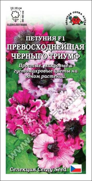 Петуния Превосходнейшая Черныго Триумф F1 /Сотка/ 10шт/ смесь h-40см d-16см /*500