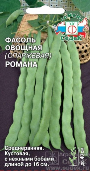 Фасоль Романа /Седек/ 5г/ среднеран. спарж. куст. до 40см зеленая