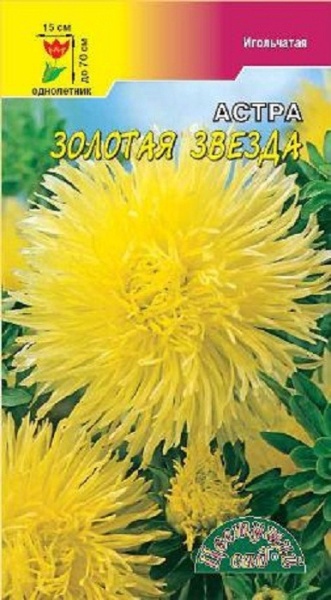 Астра Звезда Золотая (0,2г) ЦвСад