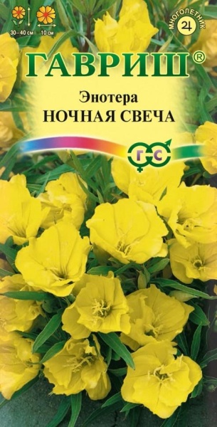 Энотера Ночная свеча /Гавриш/ 0,2г/ желт. h-40см d-10см