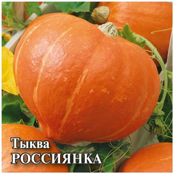 Тыква Россиянка/Сем Алт/цп 2 гр. (2027 / 3910)