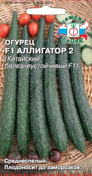 Огурец Аллигатор 2 F1 (0,2г) СеДеК