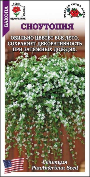 Бакопа Сноутопия /Сотка/ 3шт/ белая h-30см d-2см /*500