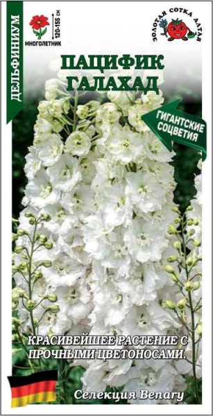 Дельфиниум Пацифик Галахад /Сотка/ 7шт/ мног. h-120-155см/