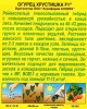  Огурец Хрустишка F1  (Аэлита) фото в интернет-магазине Фермер