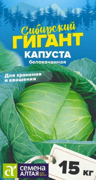Капуста Сибирский Гигант/Сем Алт/цп 0,3 гр. СЕРИЯ СИБИРСКИЕ ГИГАНТЫ! (2029 / 435)