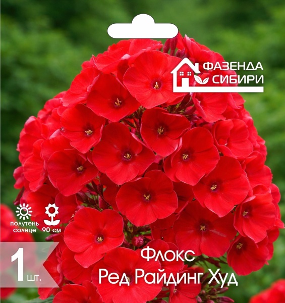Флокс Ред Райдинг Худ (1шт) Фазенда Сибири