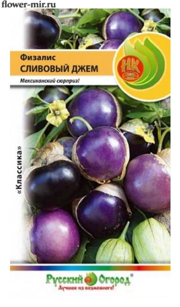 Физалис Сливовый джем /НК/ 30шт