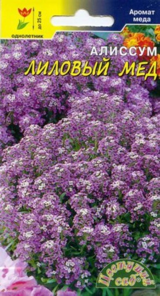 Алиссум Лиловый мед /Цвет Сад/ 0,05г/ сиреневый h-25см