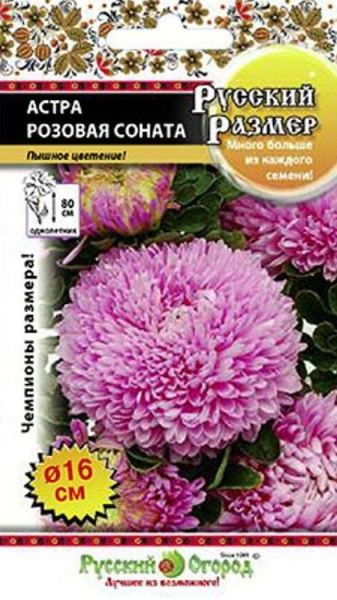Астра Русский Размер Розовая Соната /НК/ 0,2г/ пионовидн. h-90см d-17см
