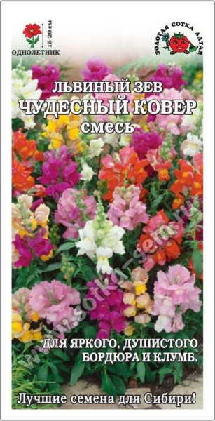 Львиный Зев Чудесный Ковер /Сотка/ 0,2г/ смесь h-20см