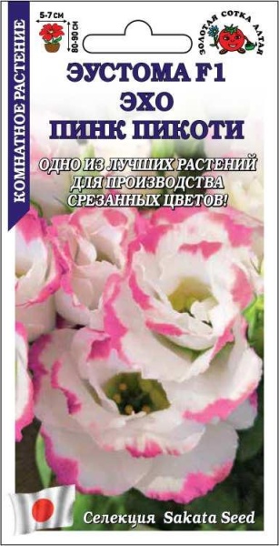 Ком: Эустома Эхо Пинк Пикоти F1 /Сотка/ 5шт/ бел. с роз. h-90см d-7см Sakata/*500