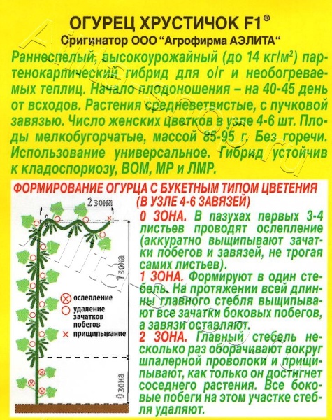 Огурец Хрустичок F1 (10шт) Аэлита