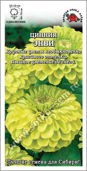 Цинния Энви /Сотка/ 0,2 г/ зеленая/*1000