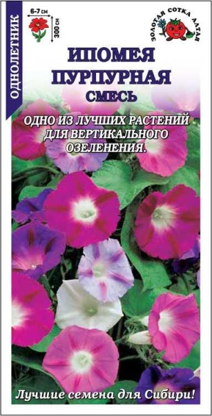 Ипомея пурпурная смесь /Сотка/ 1 г/ h-300см, d-7см/*600