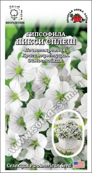 Гипсофила Пикси Сплеш /Сотка/ 7 шт