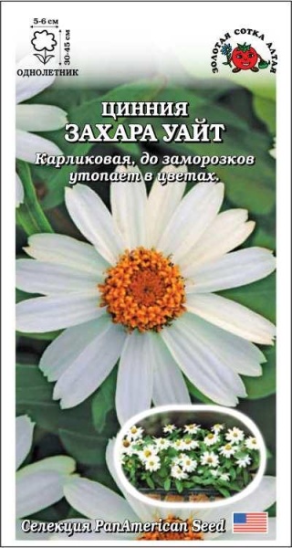 Цинния Захара Уайт /Сотка/ 5шт/ h-30-45см d-5-6см/*2000