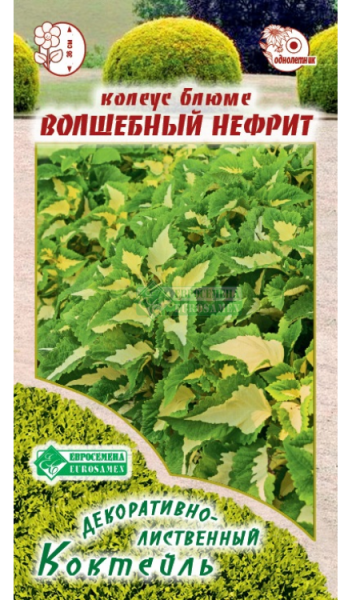 Колеус Блюме Волшебный Нефрит (10шт) Евросемена