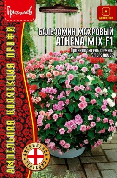 Бальзамин Athena Mix F1 махровый амп. (5шт) Редкие овощи