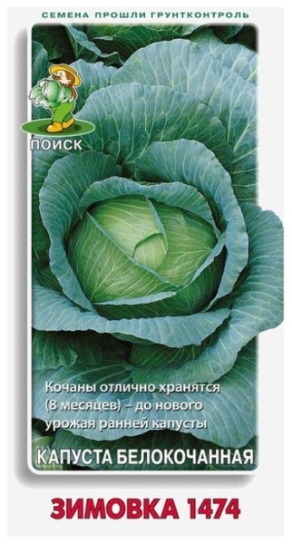 Капуста б/к Зимовка 1474 (0,5г) Поиск