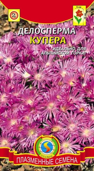 Делосперма Купера